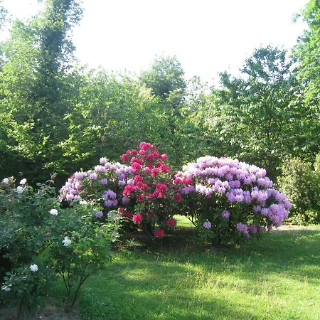 Sleeps 12 Wifi * Dormelletto